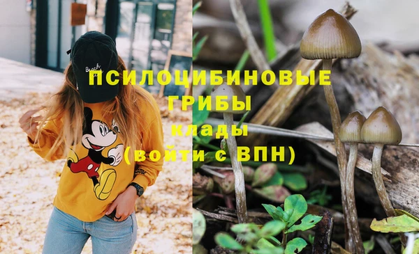 а пвп мука Бугульма