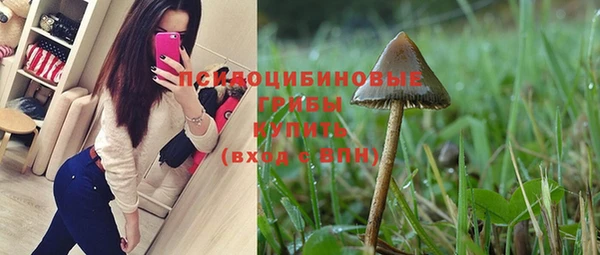 jwh Бородино