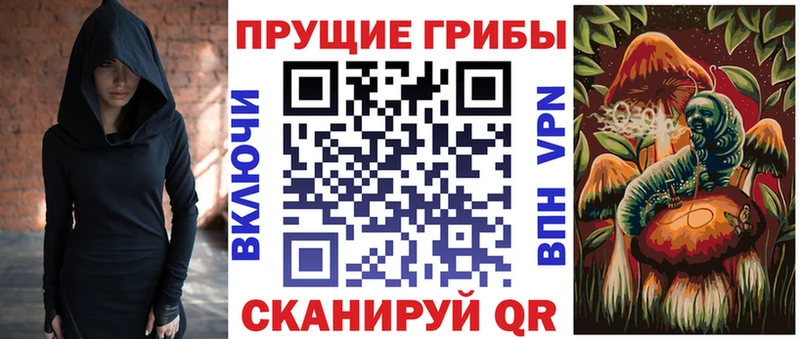 OMG сайт  Дедовск  Псилоцибиновые грибы мицелий 